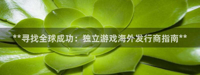 蓝狮是什么品牌：**寻找全球成功：独立游戏海外发行商指南**