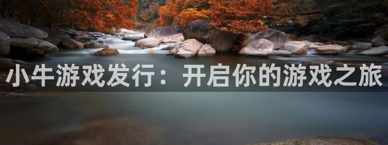 蓝狮子公司怎么样知乎：小牛游戏发行：开启你的游戏之旅