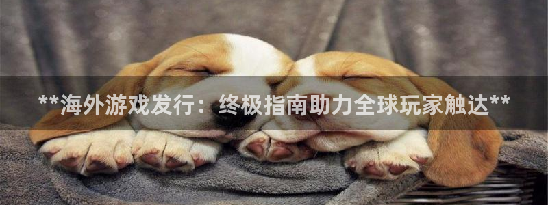 蓝狮在线平台代理开号怎么开：**海外游戏发行：终极指南助力全球玩家触达**