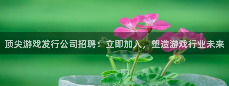 蓝狮子图书：顶尖游戏发行公司招聘：立即加入，塑造游戏行业未来
