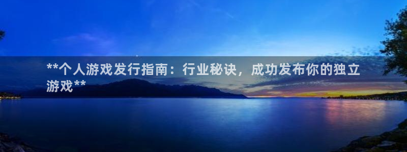 蓝狮品牌顾问有限公司：**个人游戏发行指南：行业秘诀，成功发布你的独立
游戏**