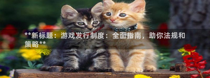 蓝狮在线登录注册失败怎么办：**新标题：游戏发行制度：全面指南，助你法规和
策略**