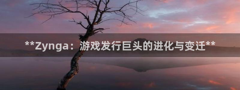 蓝狮在线价 5O6917 蓝狮：**Zynga：游戏发行巨头的进化与变迁**