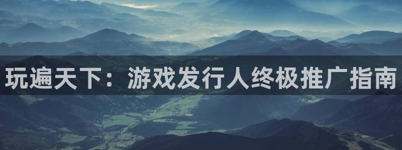 蓝狮涂料怎么样：玩遍天下：游戏发行人终极推广指南
