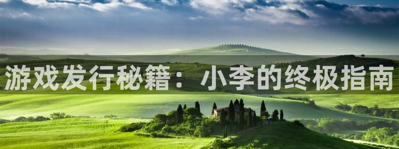 蓝狮涂料怎么样：游戏发行秘籍：小李的终极指南