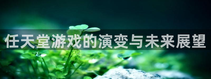 蓝狮在线游戏怎么注册：任天堂游戏的演变与未来展望