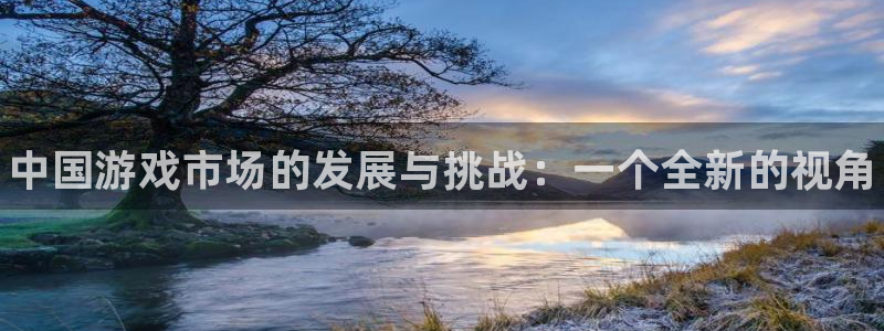 蓝狮集团是什么企业：中国游戏市场的发展与挑战：一个全新的视角
