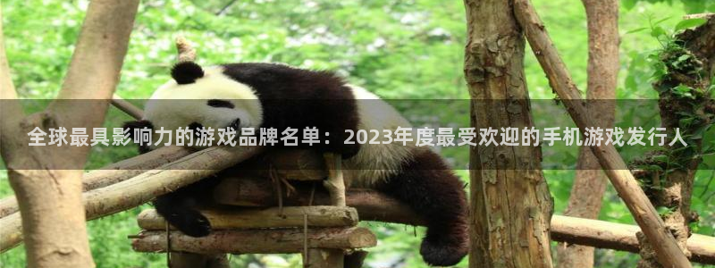 蓝狮在线注册方法是什么意思：全球最具影响力的游戏品牌名单：2023年度最受欢迎的手机游戏发行人