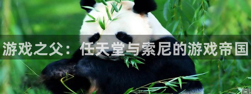 蓝狮子怎么来的：游戏之父：任天堂与索尼的游戏帝国