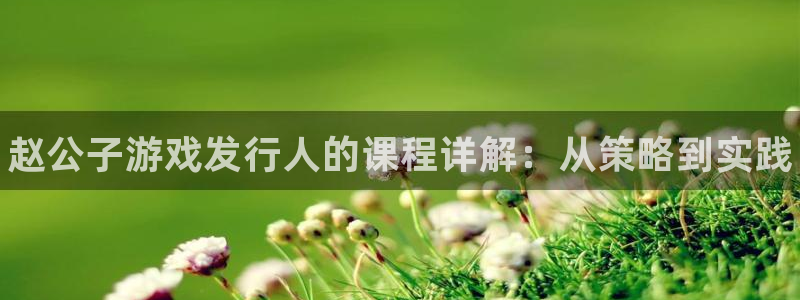 广东蓝狮电子商务有限公司