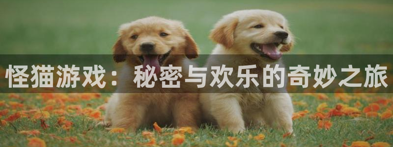 蓝狮在线平台代理条件