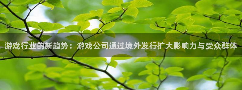 蓝狮在线注册方法是什么样的：游戏行业的新趋势：游戏公司通过境外发行扩大影响力与受众群体