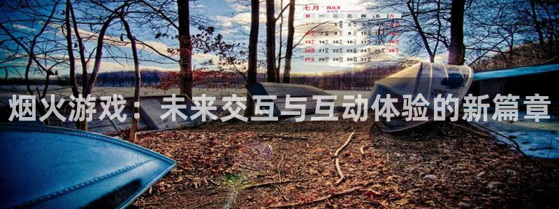 蓝狮工坊：烟火游戏：未来交互与互动体验的新篇章