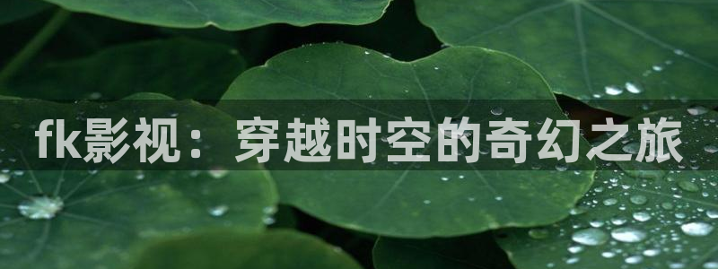 悟空视频大全：fk影视：穿越时空的奇幻之旅