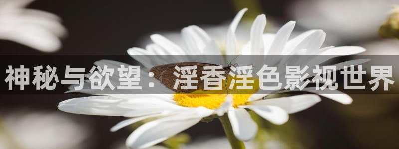 我出来了孙悟空视频：神秘与欲望：淫香淫色影视世界