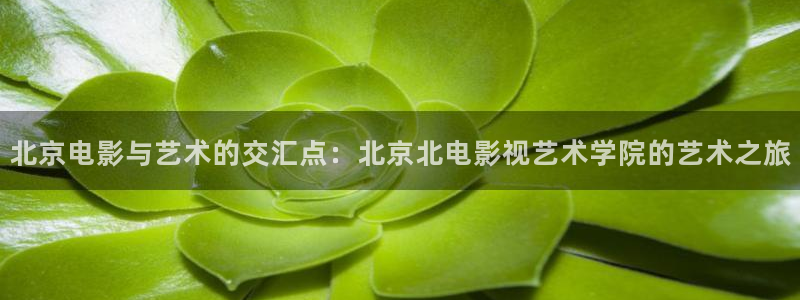 悟空视频免费版下载：北京电影与艺术的交汇点：北京北电影视艺术学院的艺术之旅