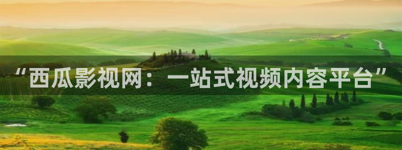 悟空免费影视：“西瓜影视网：一站式视频内容平台”