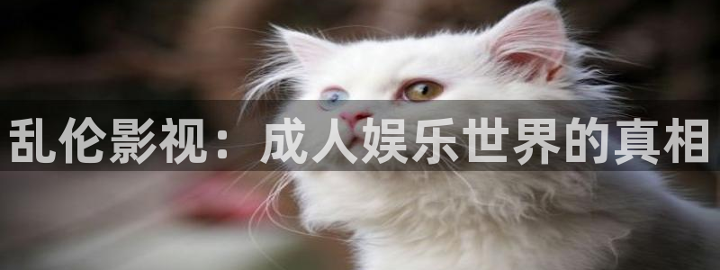 孙悟空视频全集：乱伦影视：成人娱乐世界的真相