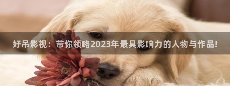 悟空视频app：好吊影视：带你领略2023年最具影响力的人物与作品!