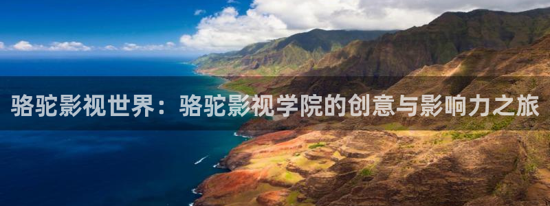 悟空免费观看在线完整版：骆驼影视世界：骆驼影视学院的创意与影响力之旅